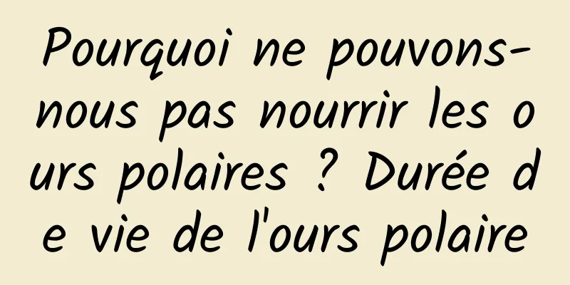 Pourquoi ne pouvons-nous pas nourrir les ours polaires ? Durée de vie de l'ours polaire