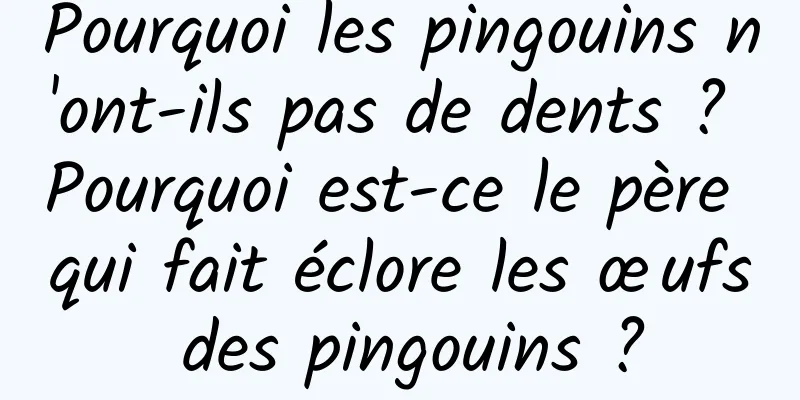 Pourquoi les pingouins n'ont-ils pas de dents ? Pourquoi est-ce le père qui fait éclore les œufs des pingouins ?