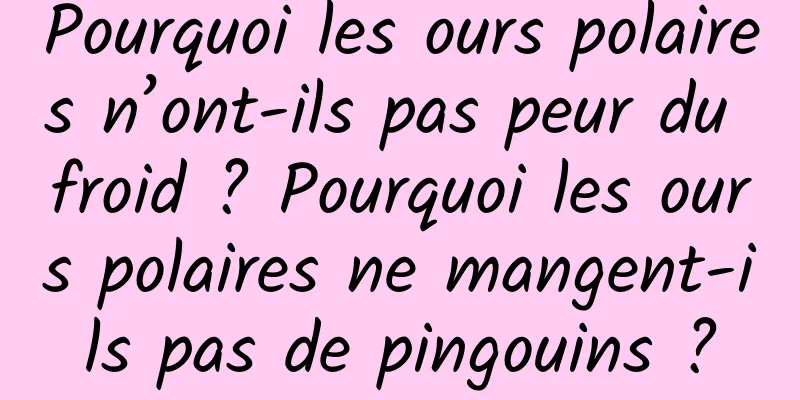 Pourquoi les ours polaires n’ont-ils pas peur du froid ? Pourquoi les ours polaires ne mangent-ils pas de pingouins ?