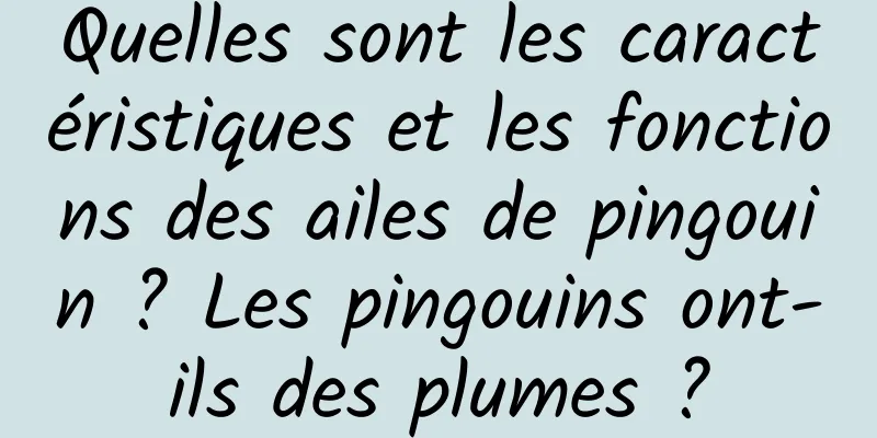 Quelles sont les caractéristiques et les fonctions des ailes de pingouin ? Les pingouins ont-ils des plumes ?