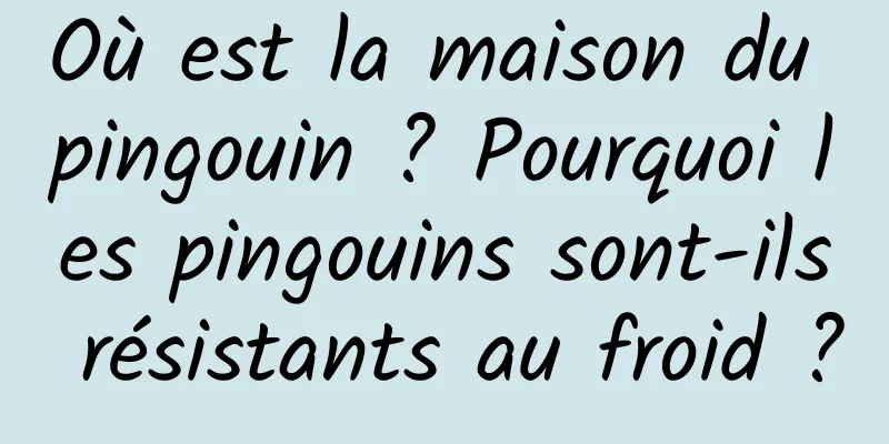Où est la maison du pingouin ? Pourquoi les pingouins sont-ils résistants au froid ?
