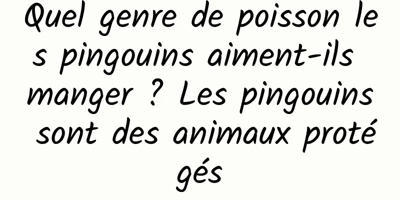 Quel genre de poisson les pingouins aiment-ils manger ? Les pingouins sont des animaux protégés