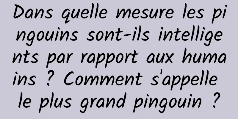 Dans quelle mesure les pingouins sont-ils intelligents par rapport aux humains ? Comment s'appelle le plus grand pingouin ?