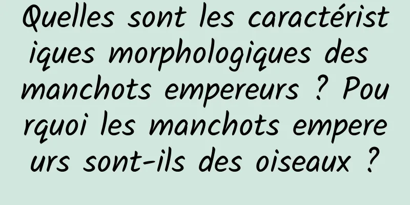 Quelles sont les caractéristiques morphologiques des manchots empereurs ? Pourquoi les manchots empereurs sont-ils des oiseaux ?