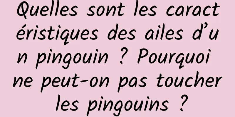 Quelles sont les caractéristiques des ailes d’un pingouin ? Pourquoi ne peut-on pas toucher les pingouins ?
