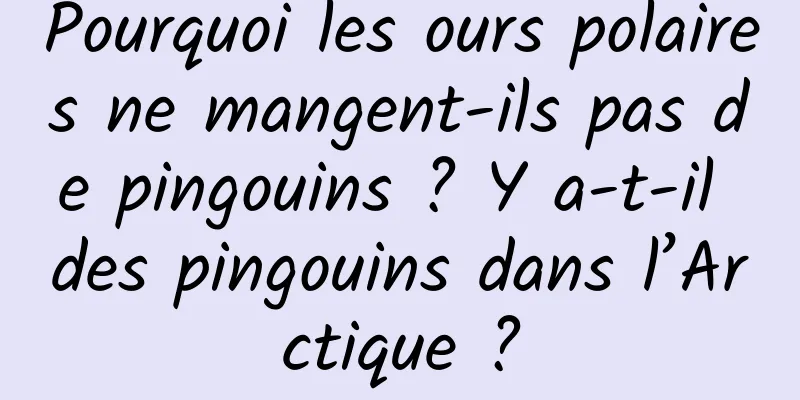 Pourquoi les ours polaires ne mangent-ils pas de pingouins ? Y a-t-il des pingouins dans l’Arctique ?