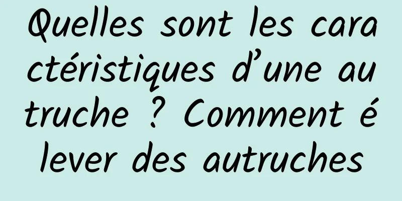 Quelles sont les caractéristiques d’une autruche ? Comment élever des autruches