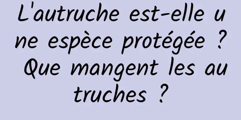 L'autruche est-elle une espèce protégée ? Que mangent les autruches ?