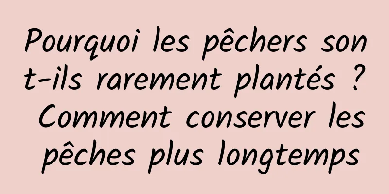 Pourquoi les pêchers sont-ils rarement plantés ? Comment conserver les pêches plus longtemps