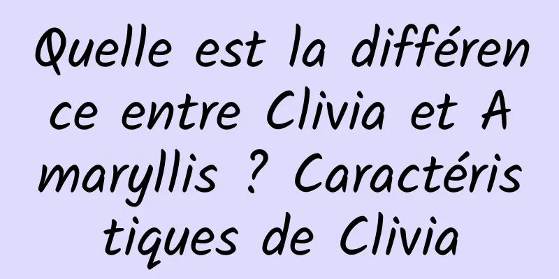 Quelle est la différence entre Clivia et Amaryllis ? Caractéristiques de Clivia