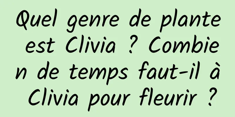 Quel genre de plante est Clivia ? Combien de temps faut-il à Clivia pour fleurir ?