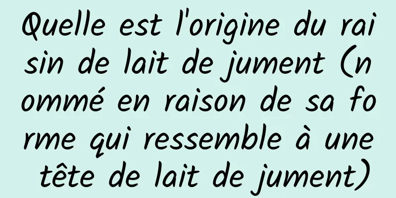 Quelle est l'origine du raisin de lait de jument (nommé en raison de sa forme qui ressemble à une tête de lait de jument)