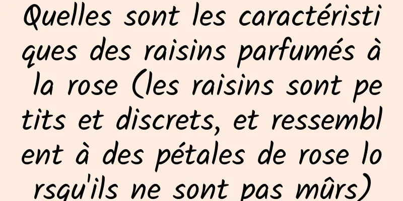 Quelles sont les caractéristiques des raisins parfumés à la rose (les raisins sont petits et discrets, et ressemblent à des pétales de rose lorsqu'ils ne sont pas mûrs)
