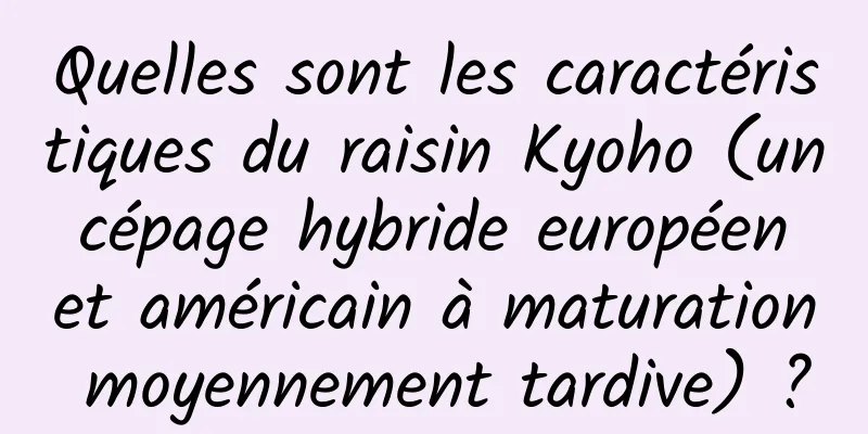 Quelles sont les caractéristiques du raisin Kyoho (un cépage hybride européen et américain à maturation moyennement tardive) ?