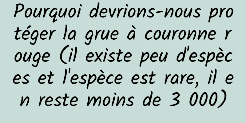 Pourquoi devrions-nous protéger la grue à couronne rouge (il existe peu d'espèces et l'espèce est rare, il en reste moins de 3 000)