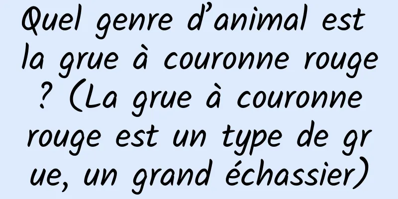 Quel genre d’animal est la grue à couronne rouge ? (La grue à couronne rouge est un type de grue, un grand échassier)
