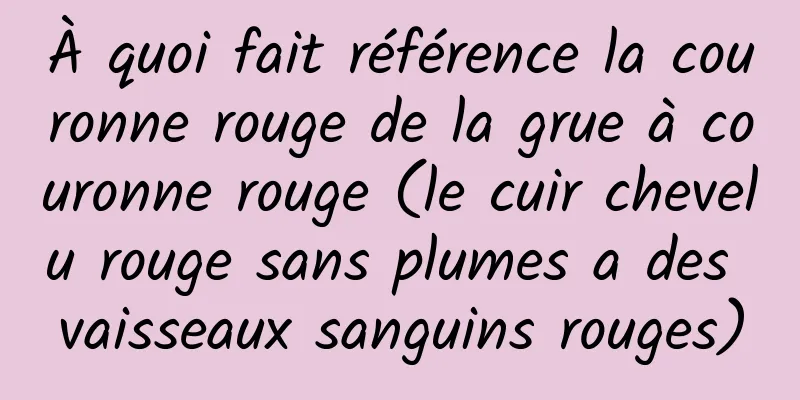 À quoi fait référence la couronne rouge de la grue à couronne rouge (le cuir chevelu rouge sans plumes a des vaisseaux sanguins rouges)