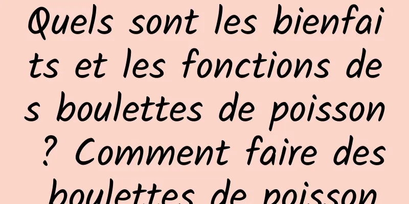 Quels sont les bienfaits et les fonctions des boulettes de poisson ? Comment faire des boulettes de poisson