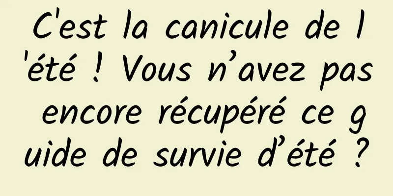 C'est la canicule de l'été ! Vous n’avez pas encore récupéré ce guide de survie d’été ?