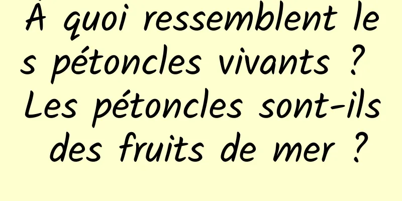 À quoi ressemblent les pétoncles vivants ? Les pétoncles sont-ils des fruits de mer ?