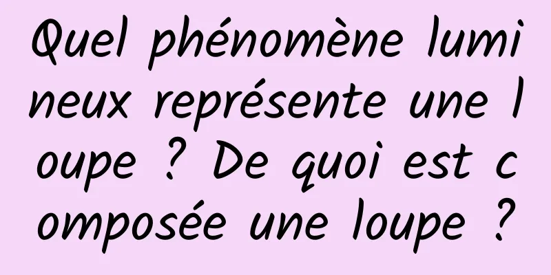 Quel phénomène lumineux représente une loupe ? De quoi est composée une loupe ?