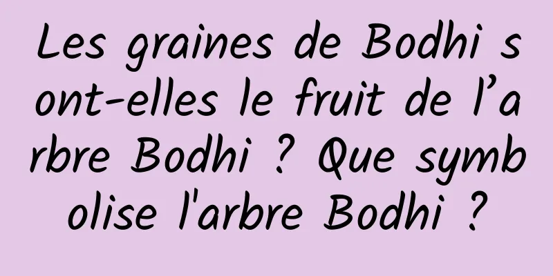 Les graines de Bodhi sont-elles le fruit de l’arbre Bodhi ? Que symbolise l'arbre Bodhi ?
