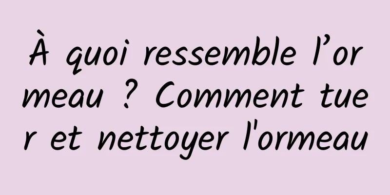 À quoi ressemble l’ormeau ? Comment tuer et nettoyer l'ormeau