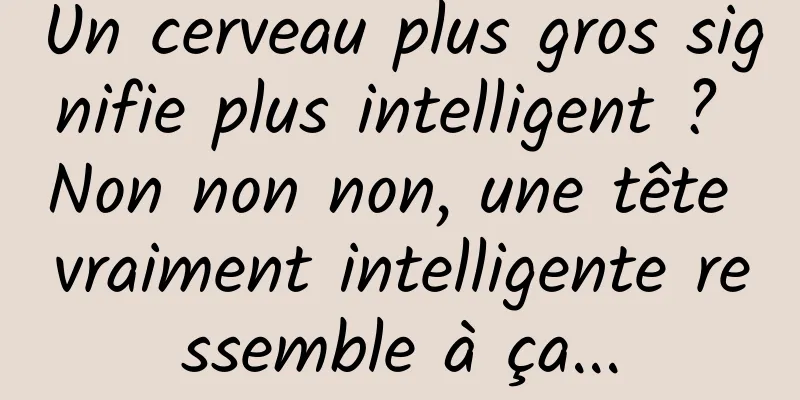 Un cerveau plus gros signifie plus intelligent ? Non non non, une tête vraiment intelligente ressemble à ça...