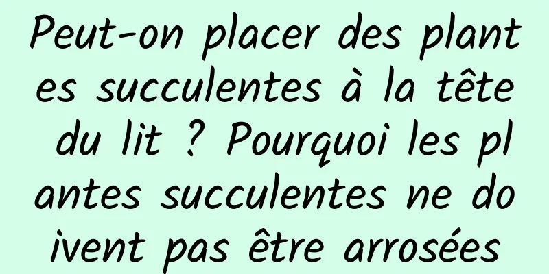 Peut-on placer des plantes succulentes à la tête du lit ? Pourquoi les plantes succulentes ne doivent pas être arrosées