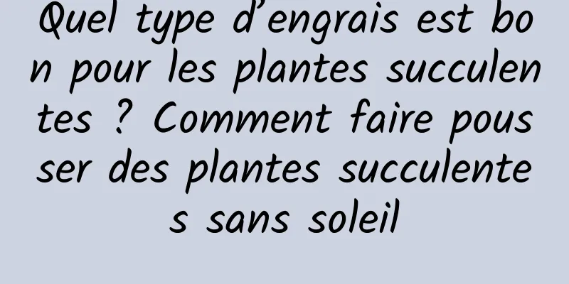 Quel type d’engrais est bon pour les plantes succulentes ? Comment faire pousser des plantes succulentes sans soleil
