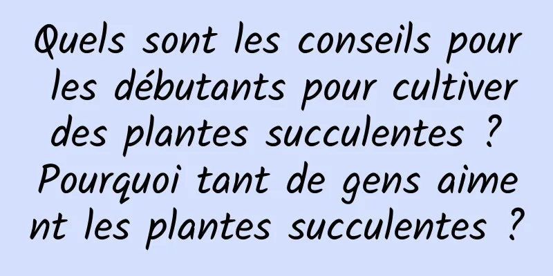 Quels sont les conseils pour les débutants pour cultiver des plantes succulentes ? Pourquoi tant de gens aiment les plantes succulentes ?