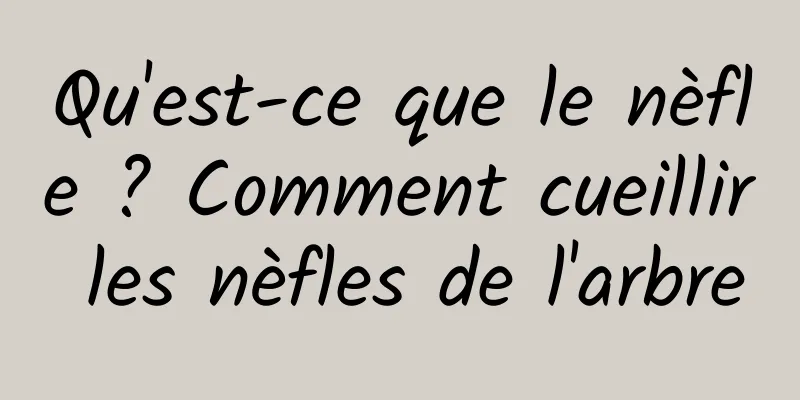 Qu'est-ce que le nèfle ? Comment cueillir les nèfles de l'arbre