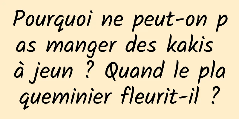 Pourquoi ne peut-on pas manger des kakis à jeun ? Quand le plaqueminier fleurit-il ?