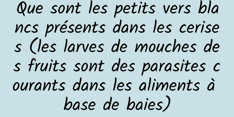 Que sont les petits vers blancs présents dans les cerises (les larves de mouches des fruits sont des parasites courants dans les aliments à base de baies)