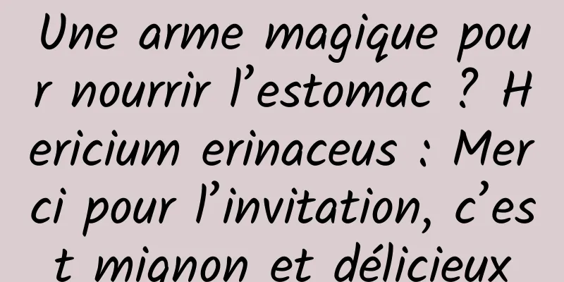 Une arme magique pour nourrir l’estomac ? Hericium erinaceus : Merci pour l’invitation, c’est mignon et délicieux