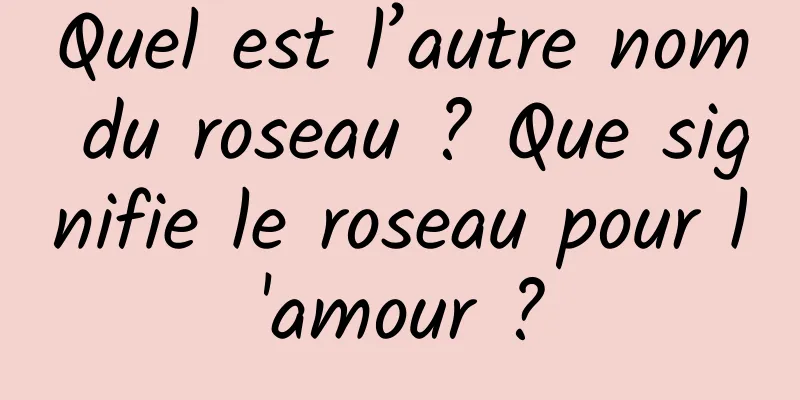 Quel est l’autre nom du roseau ? Que signifie le roseau pour l'amour ?