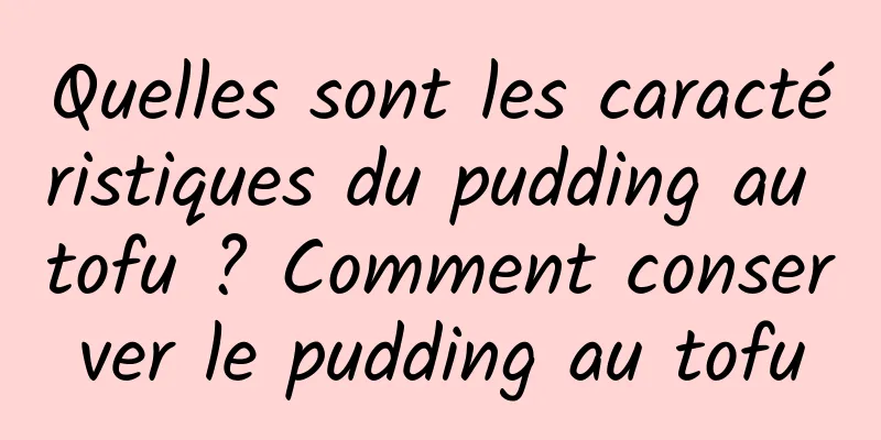 Quelles sont les caractéristiques du pudding au tofu ? Comment conserver le pudding au tofu