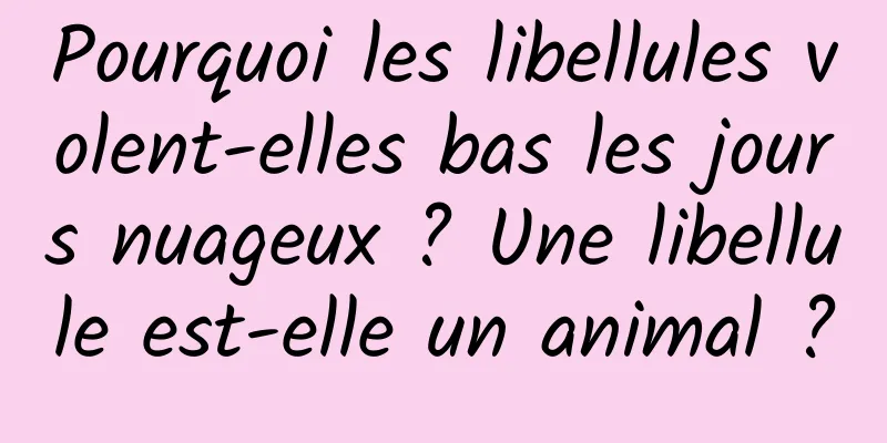 Pourquoi les libellules volent-elles bas les jours nuageux ? Une libellule est-elle un animal ?