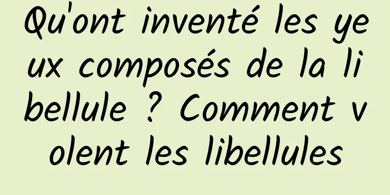 Qu'ont inventé les yeux composés de la libellule ? Comment volent les libellules