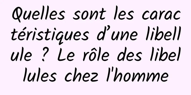 Quelles sont les caractéristiques d’une libellule ? Le rôle des libellules chez l'homme