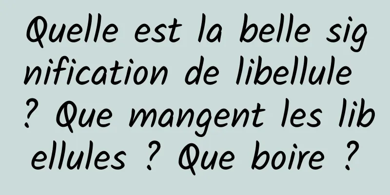 Quelle est la belle signification de libellule ? Que mangent les libellules ? Que boire ?