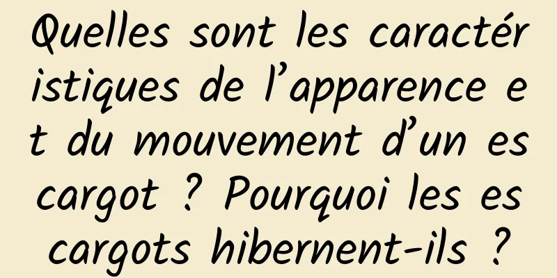 Quelles sont les caractéristiques de l’apparence et du mouvement d’un escargot ? Pourquoi les escargots hibernent-ils ?