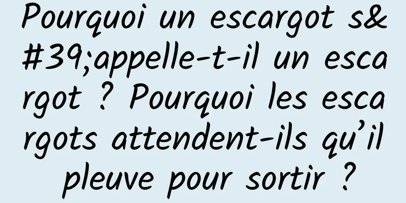 Pourquoi un escargot s'appelle-t-il un escargot ? Pourquoi les escargots attendent-ils qu’il pleuve pour sortir ?