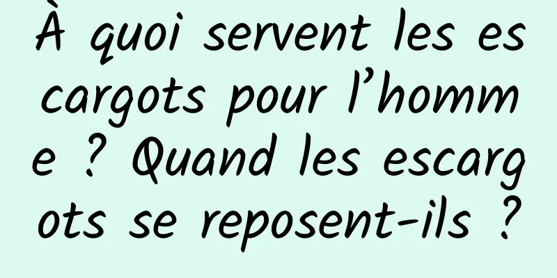 À quoi servent les escargots pour l’homme ? Quand les escargots se reposent-ils ?