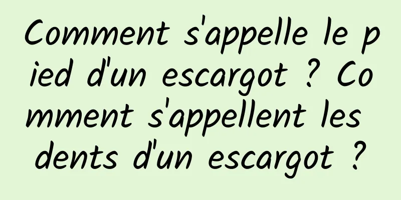 Comment s'appelle le pied d'un escargot ? Comment s'appellent les dents d'un escargot ?