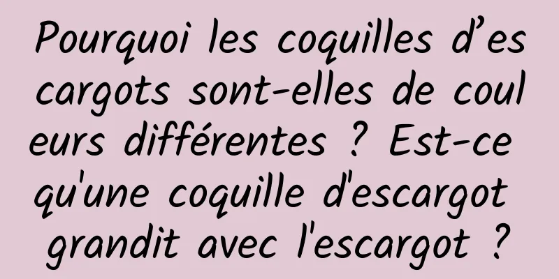 Pourquoi les coquilles d’escargots sont-elles de couleurs différentes ? Est-ce qu'une coquille d'escargot grandit avec l'escargot ?