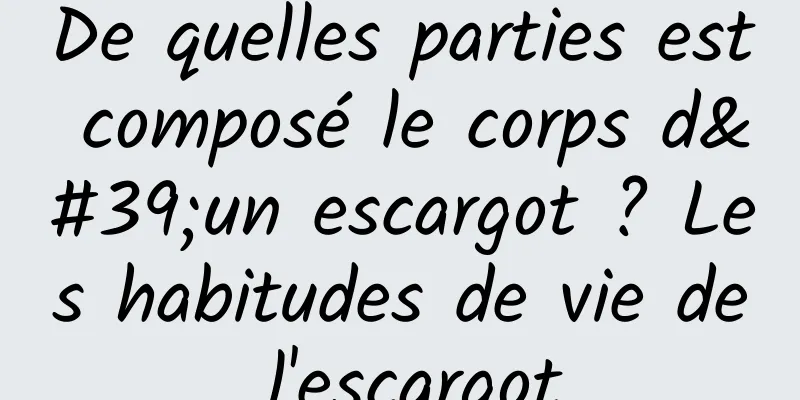 De quelles parties est composé le corps d'un escargot ? Les habitudes de vie de l'escargot