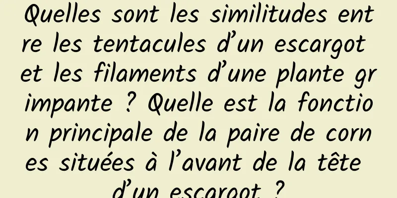 Quelles sont les similitudes entre les tentacules d’un escargot et les filaments d’une plante grimpante ? Quelle est la fonction principale de la paire de cornes situées à l’avant de la tête d’un escargot ?