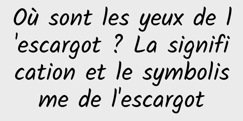 Où sont les yeux de l'escargot ? La signification et le symbolisme de l'escargot