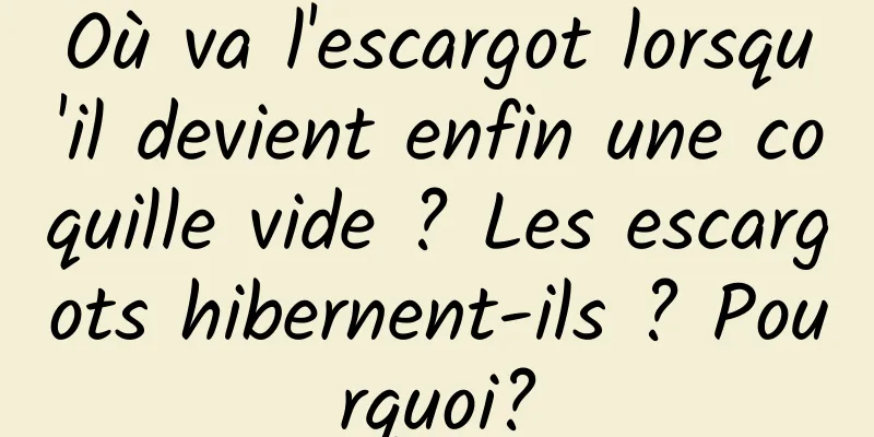 Où va l'escargot lorsqu'il devient enfin une coquille vide ? Les escargots hibernent-ils ? Pourquoi?
